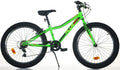 Dino Bikes Mountain Bike, 24 pollici Verde PLUS Sport