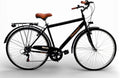 Bici da città, Nero/Marrone, MADICKS