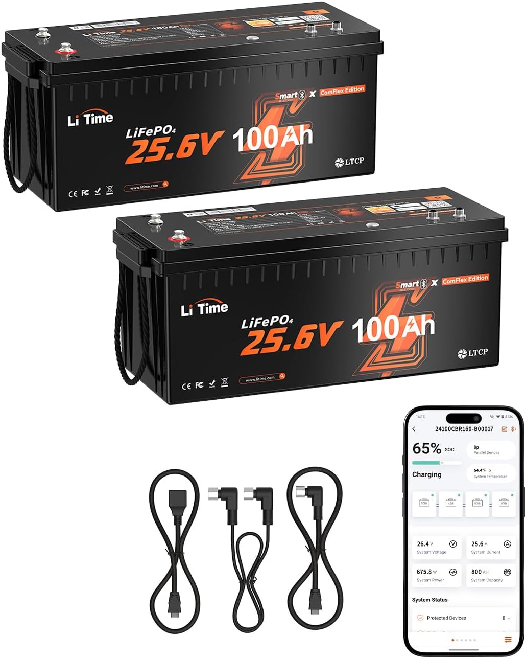 Batterie a ciclo profondo, Ideale per Camper, BMS 100A, 4000-15000 Cicli, CAN, Protezione Temperatura, Barche, Sistemi Off-Grid, Litime RS485